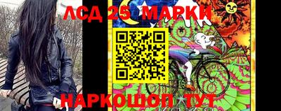 прущие грибы Дубна