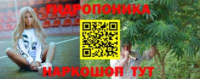 прущие грибы Дубна