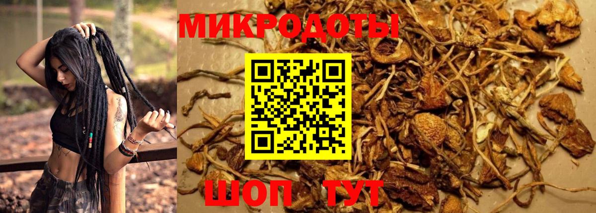 Магадан  продажа наркотиков  Галлюциногенные грибы мухоморы  Вход с VPN  Псилоцибиновые грибы Magic Shrooms 